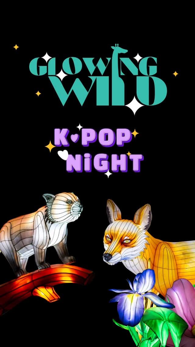 Glowing Wild K-Pop Nights - April 18 - Cover image