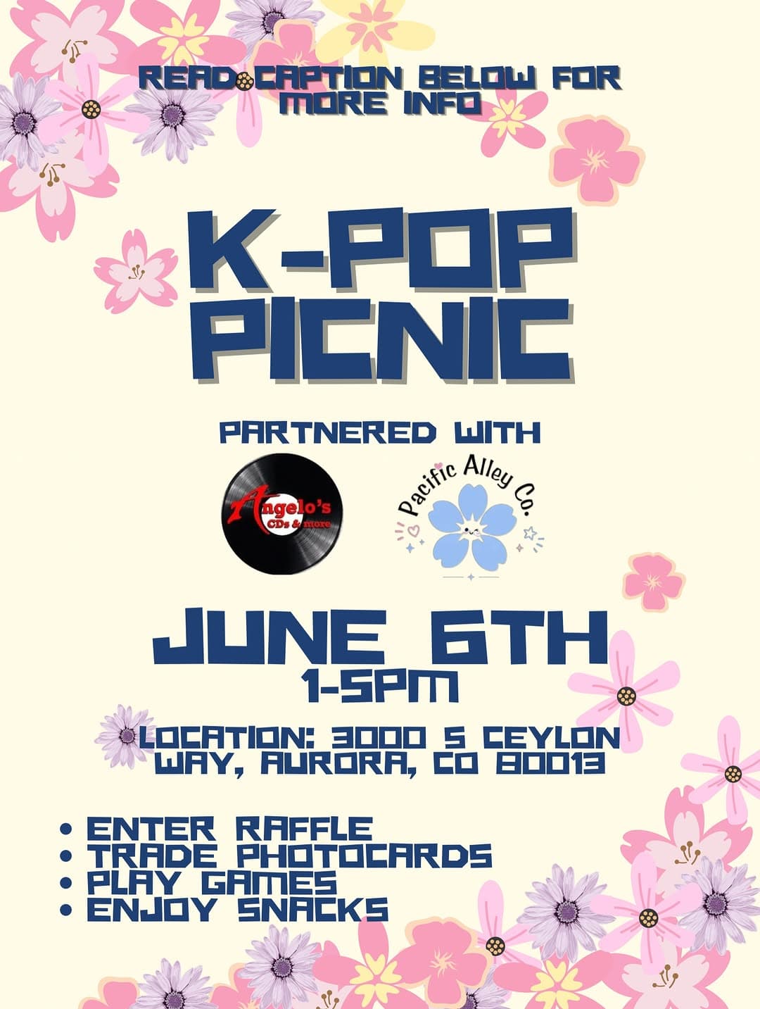 K-pop Picnic
