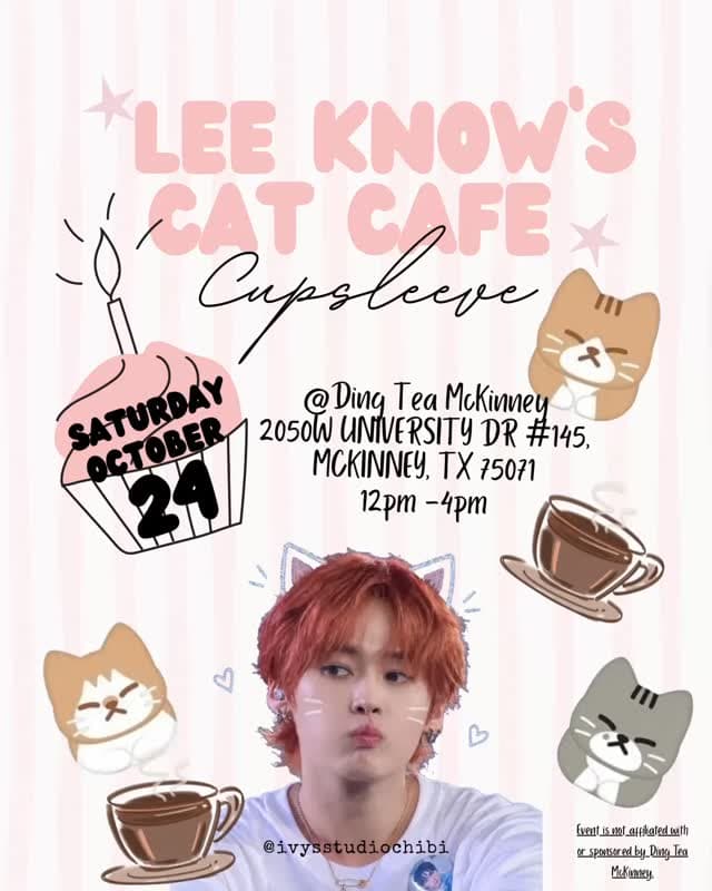 Lee Know's Cat Cafe