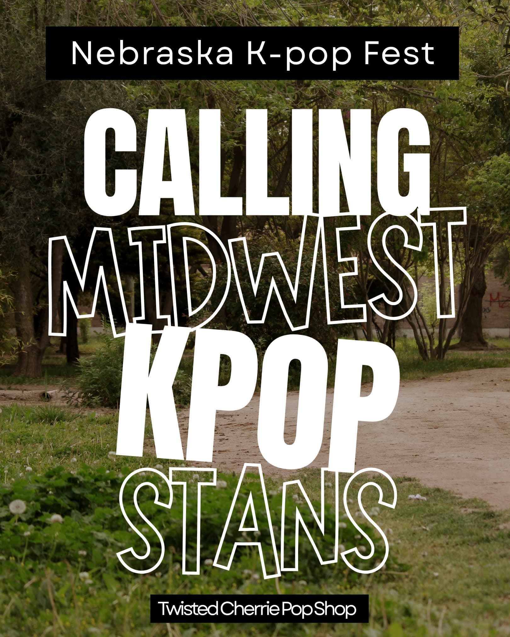 Nebraska K-pop Fest - Image 1