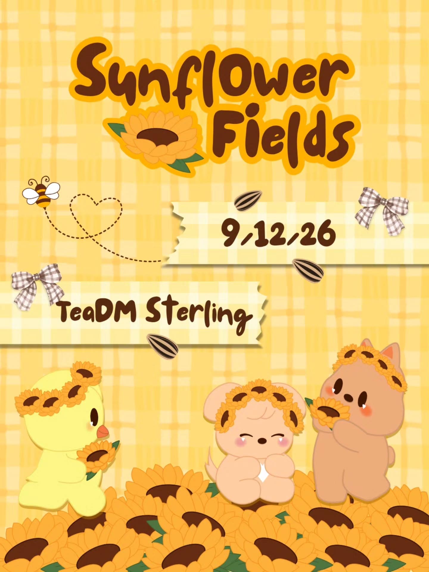 Sunflower Fields
