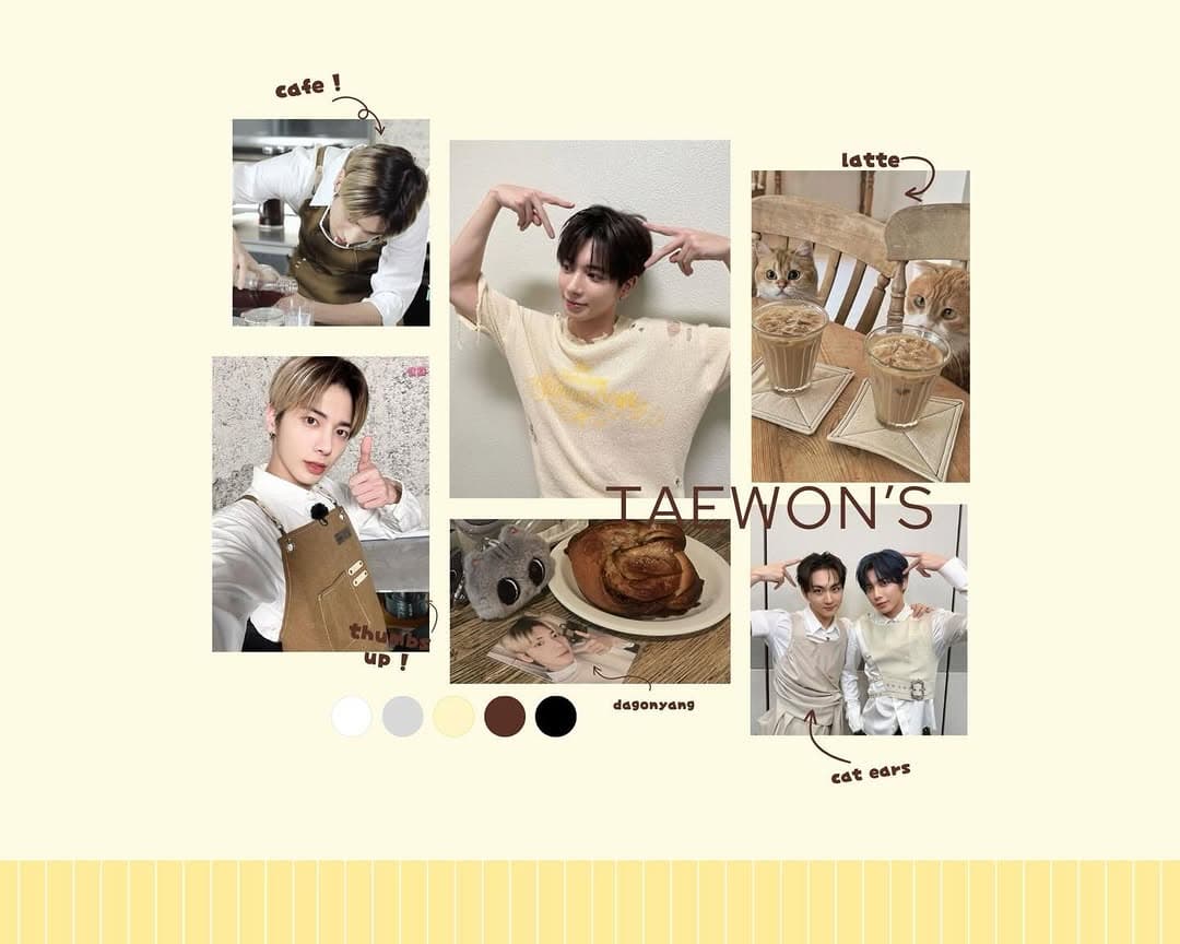 Taewon’s Cat Cafe - Image 2